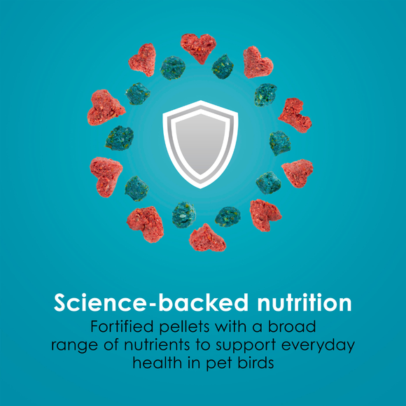 Kaytee Forti-Diet Pro Health Nourish + Protect Parrot Bird Food - Bird Food 6