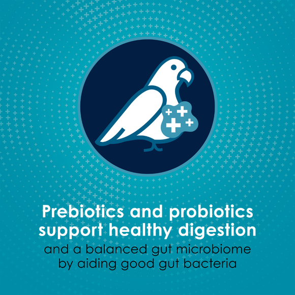 Kaytee Forti-Diet Pro Health Nourish + Protect Parrot Bird Food - Bird Food 4