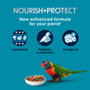 Kaytee Forti-Diet Pro Health Nourish + Protect Parrot Bird Food - Bird Food 3