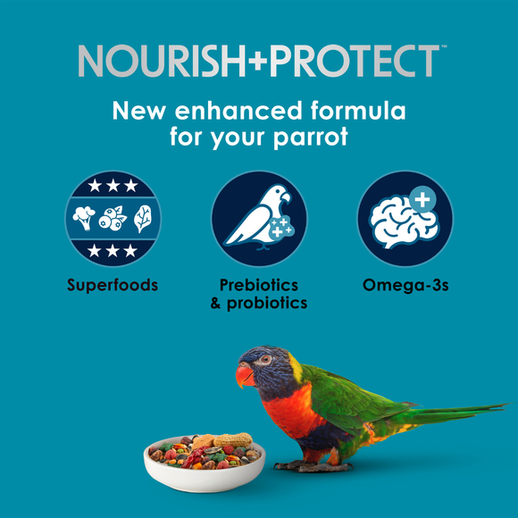 Kaytee Forti-Diet Pro Health Nourish + Protect Parrot Bird Food - Bird Food 3
