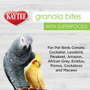 Kaytee Granola Bites Bird Treats (4.5 oz) - Bird Treats 4