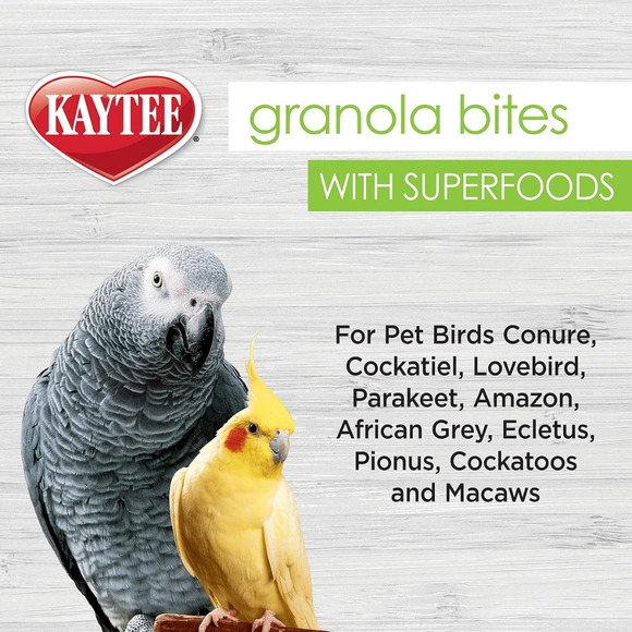 Kaytee Granola Bites Bird Treats (4.5 oz) - Bird Treats 4