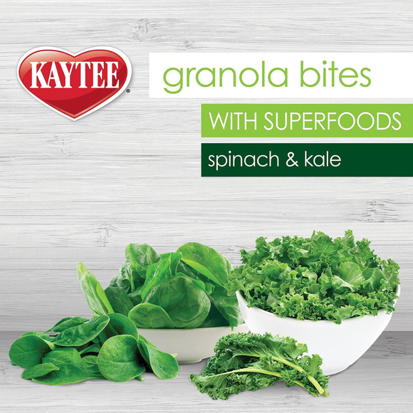 Kaytee Granola Bites Bird Treats (4.5 oz) - Bird Treats 2