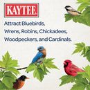 Provide High-Protein Treats for Wild Birds