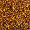 Kaytee Mealworms