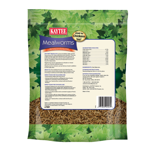 Dried Mealworms