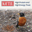  Attracts Insect-Eating Birds