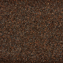 seeds for birds