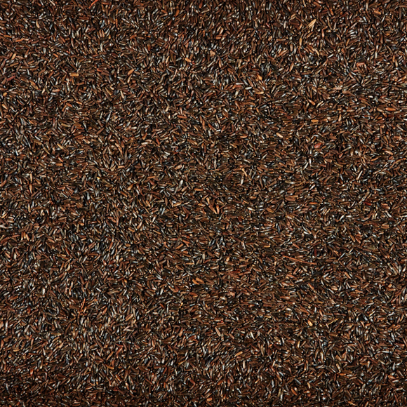 seeds for birds