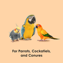 Kaytee Papaya Healthy Toppings for Pet Birds (2.5 oz) - Bird Treats 4