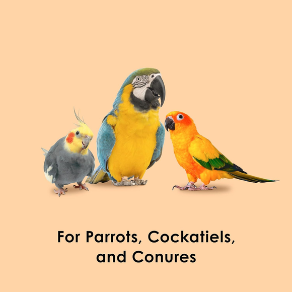 Kaytee Papaya Healthy Toppings for Pet Birds (2.5 oz) - Bird Treats 4