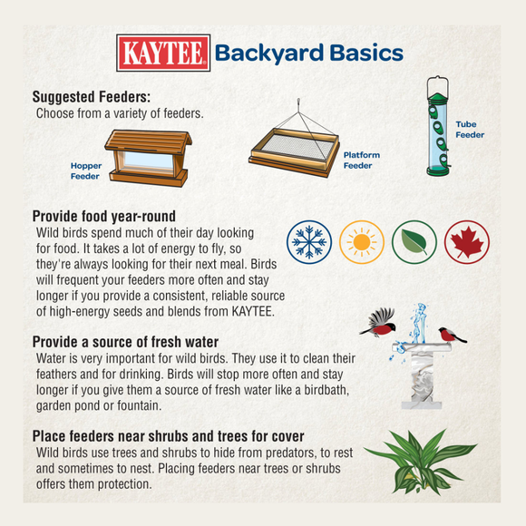 Kaytee Seed  - Attract and Feed Wild Bird