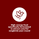 high energy bird food
