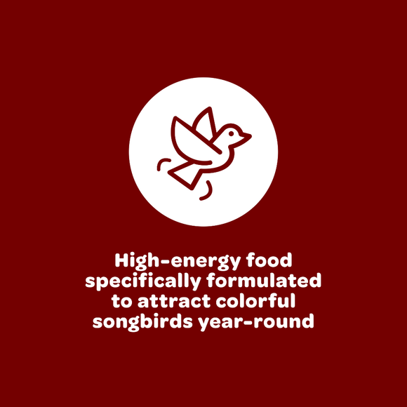 high energy bird food