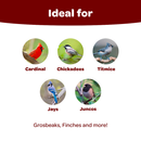 Kaytee Songbird Blend- ideal bird food