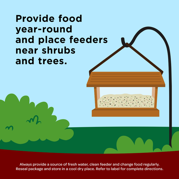 feeders near shrubs and tress