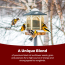 Attract Colorful Songbirds to Your Backyard