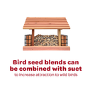 Kaytee Cracked Corn Wild Bird Food (4 lb) - Bird Food 10