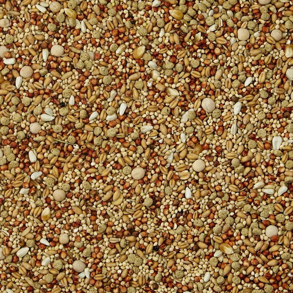 Kaytee Supreme Dove Bird Food (5 lb) - Bird Food 3