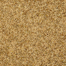 Kaytee Supreme Parakeet Bird Food (5 lb) - Bird Food 4