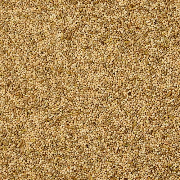 Kaytee Supreme Parakeet Bird Food (5 lb) - Bird Food 4