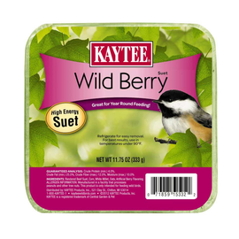 Kaytee Wild Berry High Energy Suet for Wild Birds 