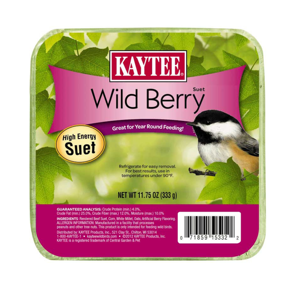 Kaytee Wild Berry High Energy Suet for Wild Birds 