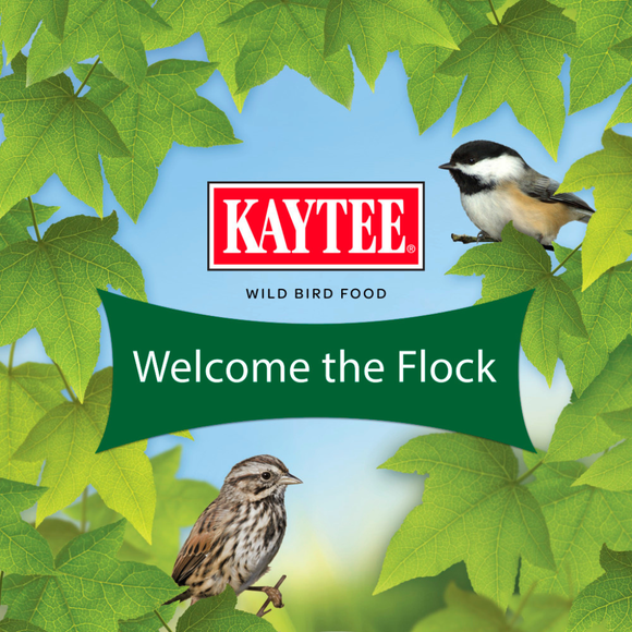 Kaytee Wild Bird Food Basic Blend (10 lb) - Bird Food 9