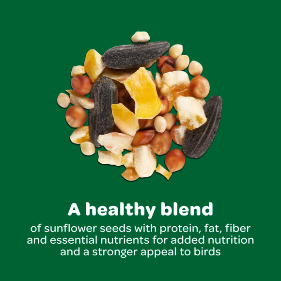 Kaytee Wild Bird Food Basic Blend (10 lb) - Bird Food 7
