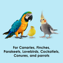 Kaytee Yo Dips Papaya & Mango Flavored Bird Treats (2.5 oz) - Bird Treats 2