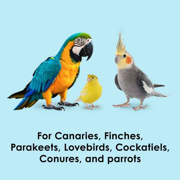 Kaytee Yo Dips Papaya & Mango Flavored Bird Treats (2.5 oz) - Bird Treats 2