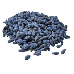 Kaytee Yo Dips Sunflower Seeds Blueberry Flavored Bird Treats (2.5 oz) - Bird Treats 2