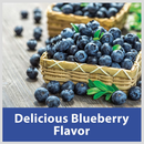 Kaytee Yo Dips Sunflower Seeds Blueberry Flavored Bird Treats (2.5 oz) - Bird Treats 4