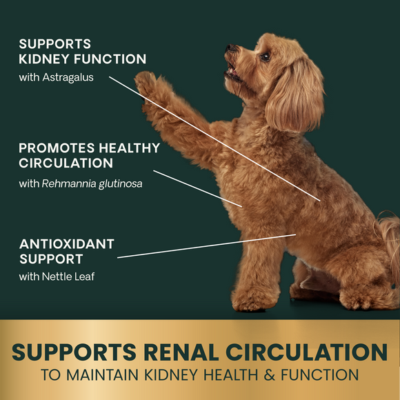 Kidney Health Tablets for Dogs - Dog Supplements & Vitamins 5