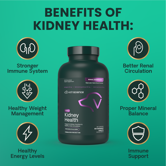 Kidney Health Tablets for Dogs - Dog Supplements & Vitamins 6