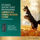 Kidney Health Tablets for Dogs - Dog Supplements & Vitamins 3