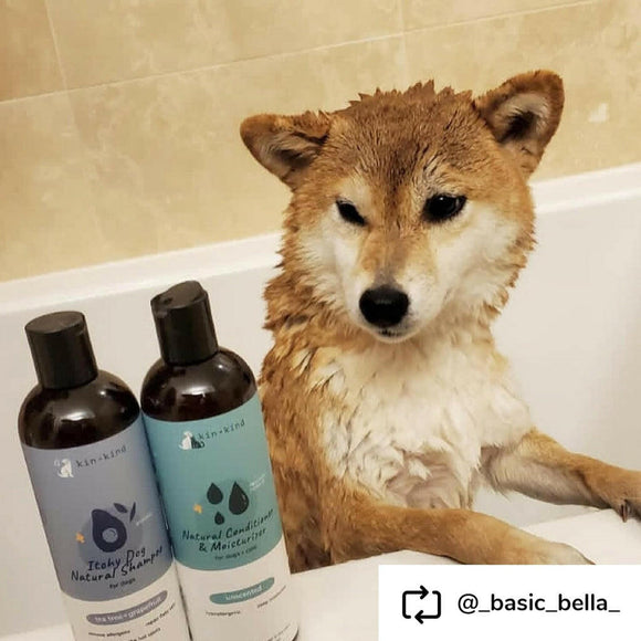 kin+kind Itchy Natural Tea Tree & Grapefruit Shampoo For Dog 