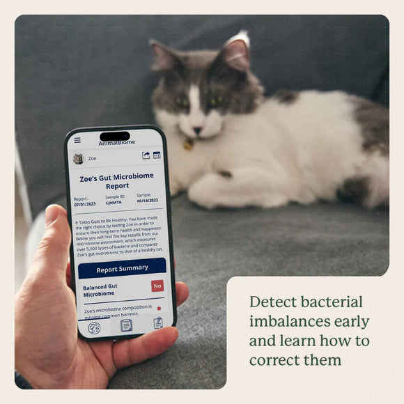 Kitty Biome At-Home Kit Gut Microbiome Test for Cats - Cat Digestive & Probiotics Supplements 7