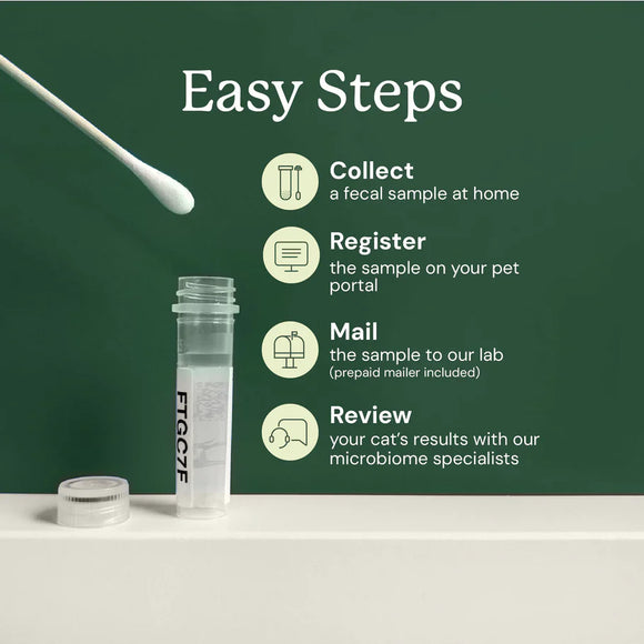Kitty Biome At-Home Kit Gut Microbiome Test for Cats - Cat Digestive & Probiotics Supplements 4