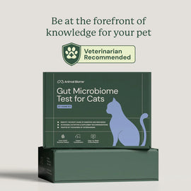 Kitty Biome At-Home Kit Gut Microbiome Test for Cats - Cat Digestive & Probiotics Supplements 2