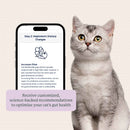 Kitty Biome At-Home Kit Gut Microbiome Test for Cats - Cat Digestive & Probiotics Supplements 8
