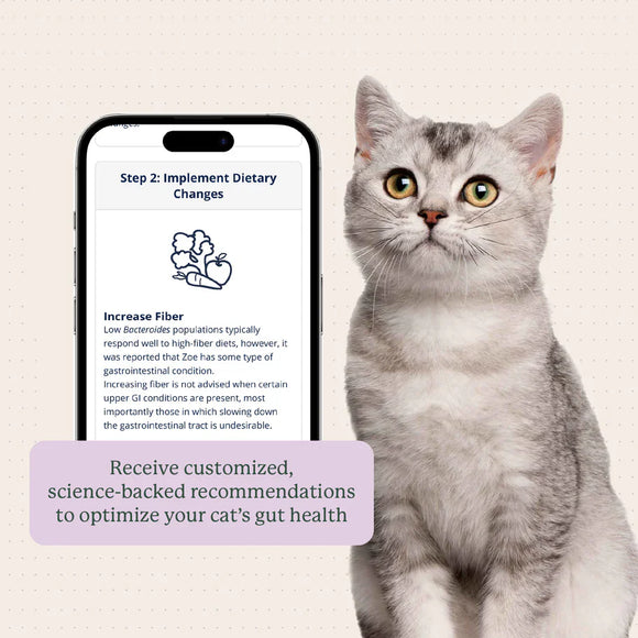 Kitty Biome At-Home Kit Gut Microbiome Test for Cats - Cat Digestive & Probiotics Supplements 8