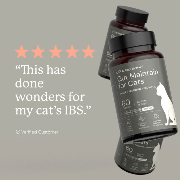 Kitty Biome GMP Gut Maintenance Plus Triple Action for Cats 60 small capsules - Cat Digestive & Probiotics Supplements 5