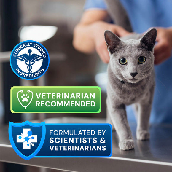 Gray cat being held by a person with product certification badges displayed.