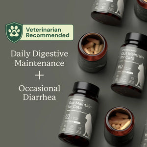 Kitty Biome GMP Gut Maintenance Plus Triple Action for Cats 60 small capsules - Cat Digestive & Probiotics Supplements 2