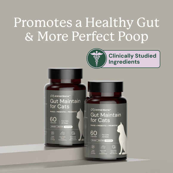 Kitty Biome GMP Gut Maintenance Plus Triple Action for Cats 60 small capsules - Cat Digestive & Probiotics Supplements 4
