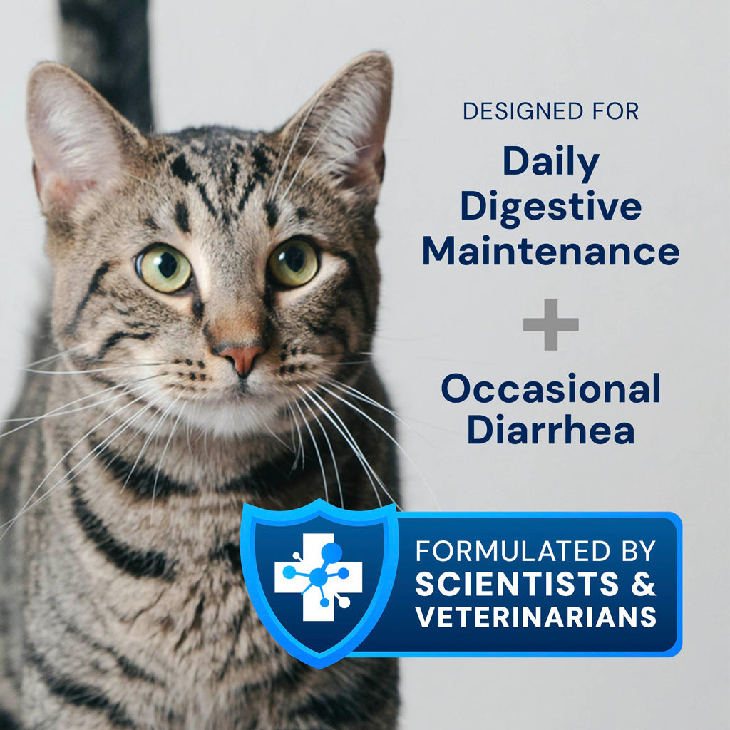 Cat Gut Health Supplement | KittyBiome GMP Triple Action Formula