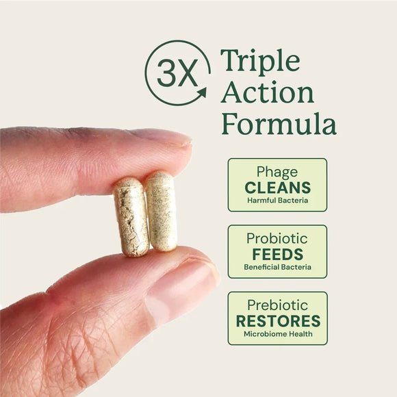 Kitty Biome GMP Gut Maintenance Plus Triple Action for Cats 60 small capsules - Cat Digestive & Probiotics Supplements 3
