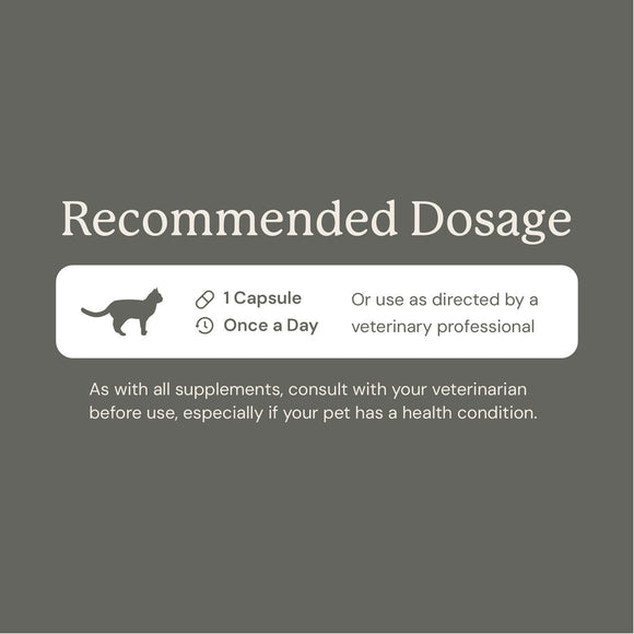 Kitty Biome GMP Gut Maintenance Plus Triple Action for Cats 60 small capsules - Cat Digestive & Probiotics Supplements