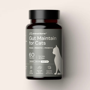 Kitty Biome GMP Gut Maintenance Plus Triple Action for Cats 60 small capsules - Cat Digestive & Probiotics Supplements 1